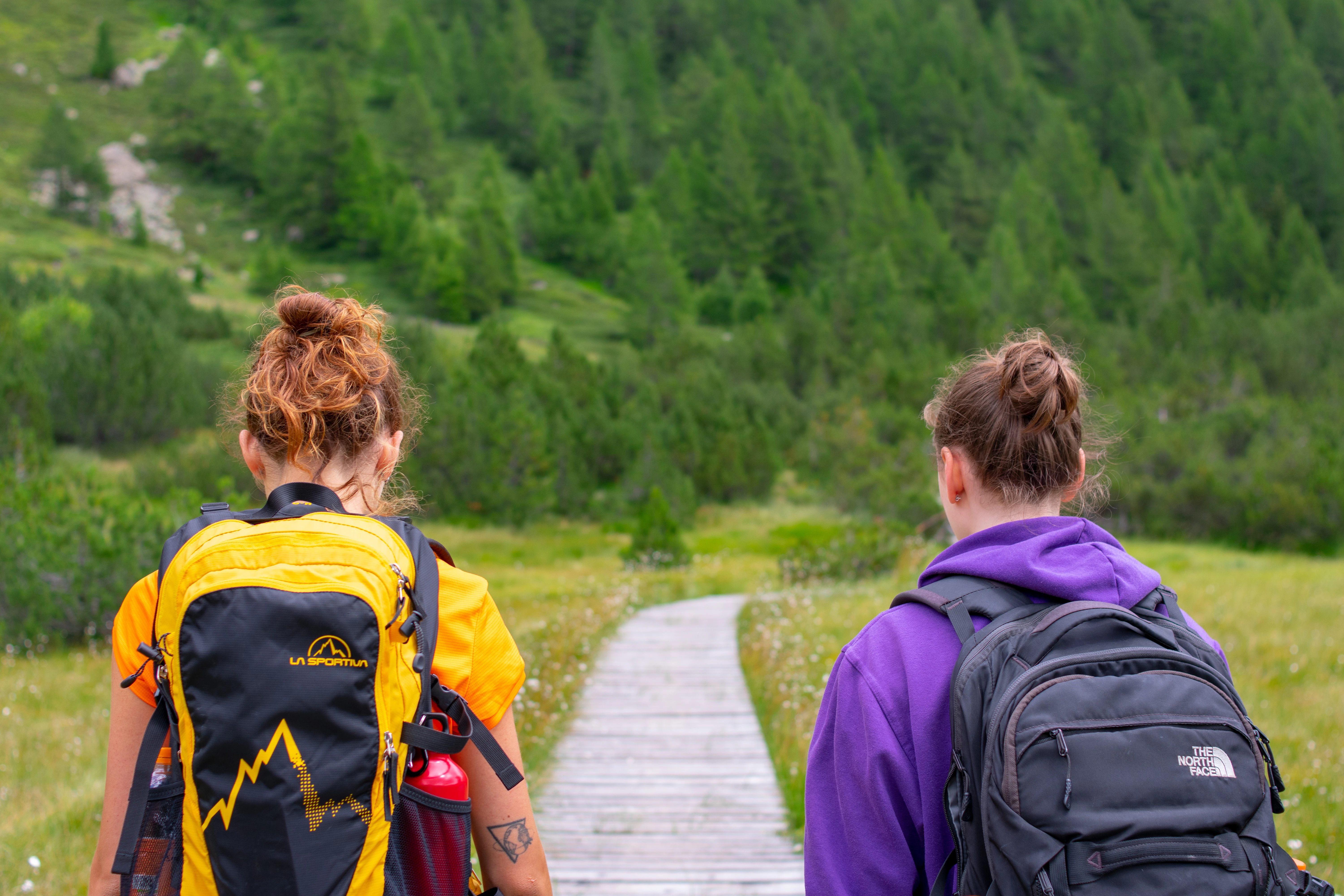 Photo of Hiking (1).